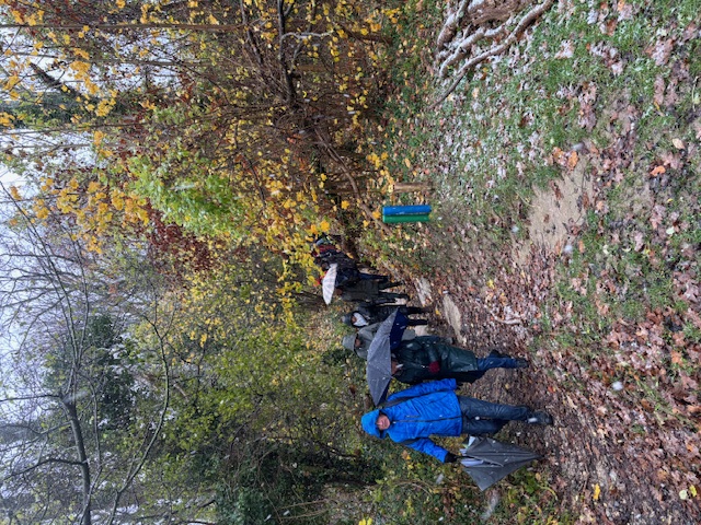 Wandelpad 1