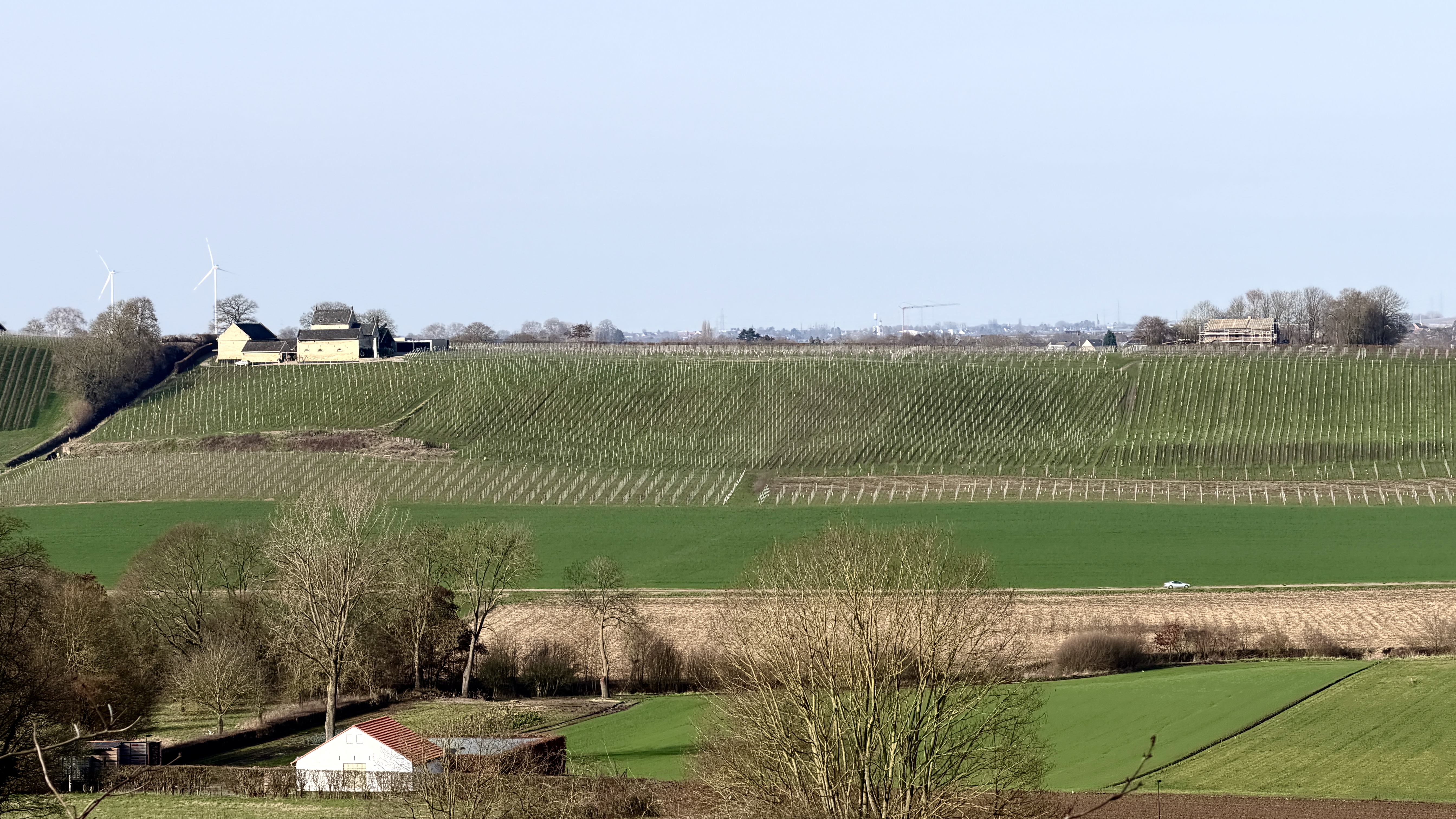Sint Pietersberg 2