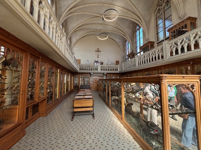 Mechelen 2482